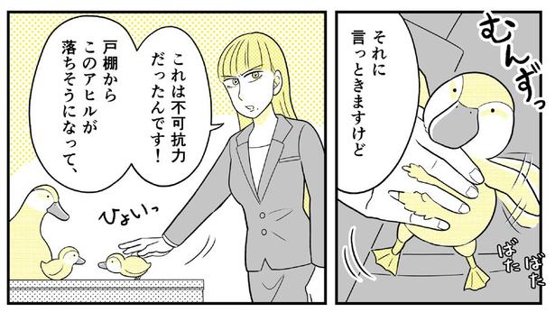 動物にモテるサラリーマンの受難(119) 画像提供：NANNO(@nanno_koresiki)