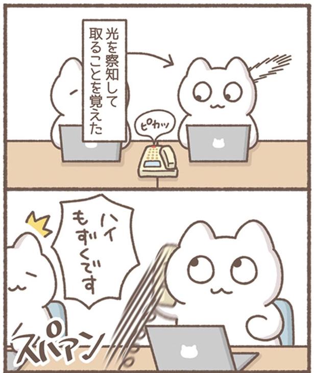 ピカッ （C）もずく／KADOKAWA
