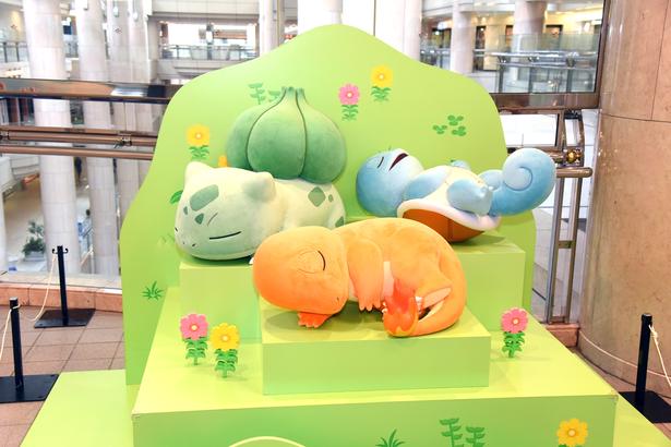 気持ちよさそうに眠るヒトカゲ、ゼニガメ、フシギダネのフォトスポット (C)Pokémon/Nintendo/Creatures/GAME FREAK　Pokémon Sleep is developed by SELECT BUTTON inc.　ポケットモンスター・ポケモン・Pokémonは任天堂・クリーチャーズ・ゲームフリークの商標です。　撮影：ソムタム田井