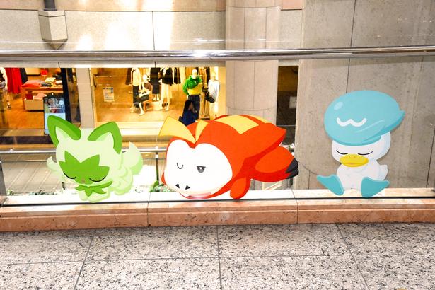 ホゲータ、クワッス、ニャオハの眠っている姿 (C)Pokémon/Nintendo/Creatures/GAME FREAK　Pokémon Sleep is developed by SELECT BUTTON inc.　ポケットモンスター・ポケモン・Pokémonは任天堂・クリーチャーズ・ゲームフリークの商標です。　撮影：ソムタム田井