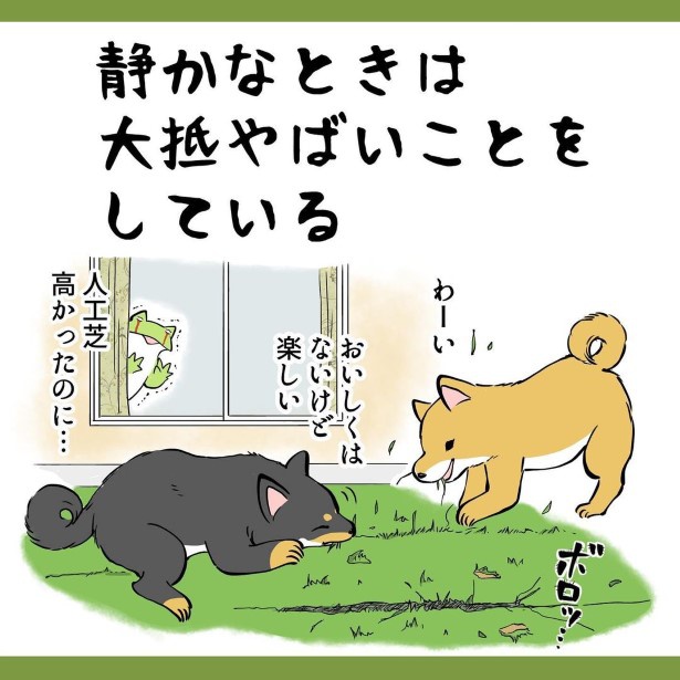 やめてー!高かったのに…!! ユウコトリトリ(@yuko_toritori)