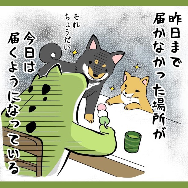 犬との暮らしで子育てとちょっと似てるなぁと思うこと3_P005 ユウコトリトリ(@yuko_toritori)