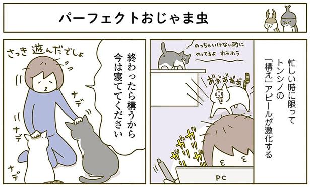 パーフェクトおじゃま虫 （C）卵山玉子／KADOKAWA