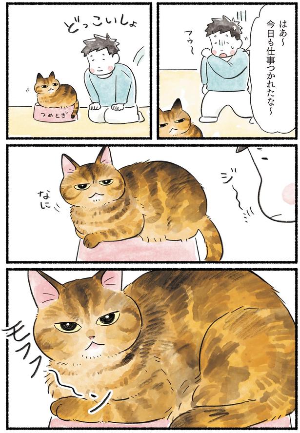 今日も仕事つかれたな～ （C）山麦まくら／KADOKAWA
