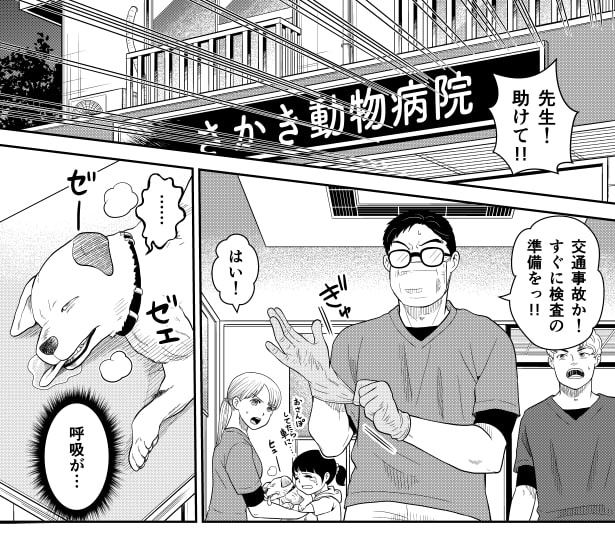 ER vet_P01 夏野ばな菜(@NatsunoBanana)