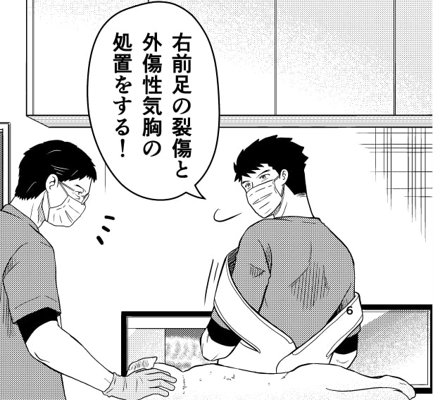 ER vet_P10 夏野ばな菜(@NatsunoBanana)