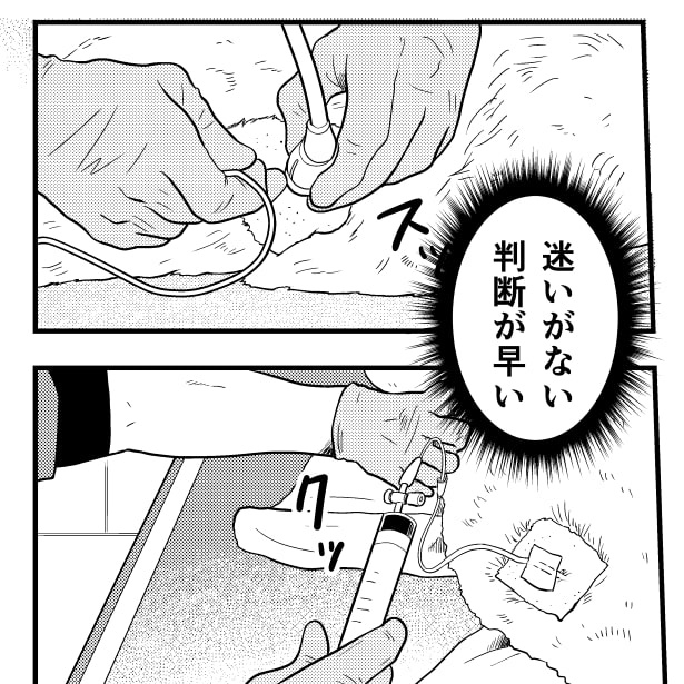 ER vet_P11 夏野ばな菜(@NatsunoBanana)