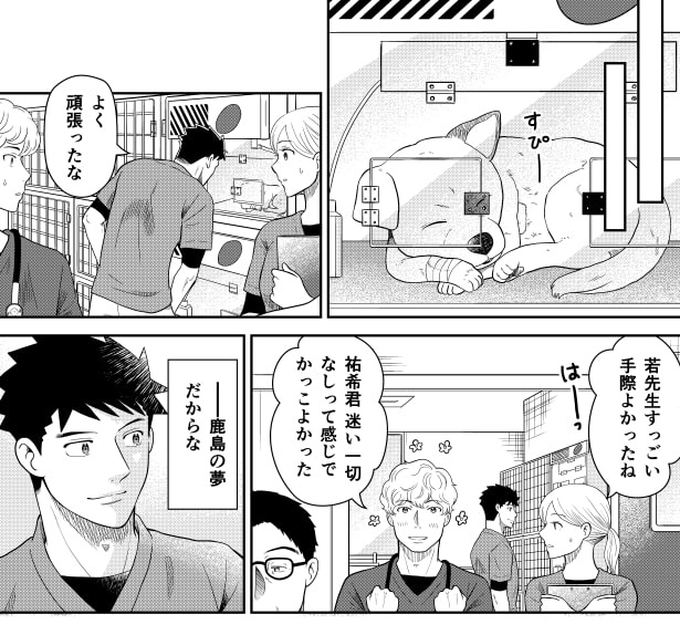 ER vet_P12 夏野ばな菜(@NatsunoBanana)