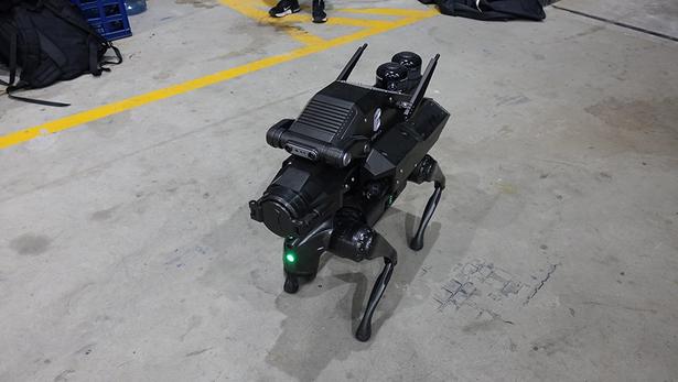 ロボット犬がお出迎え！
