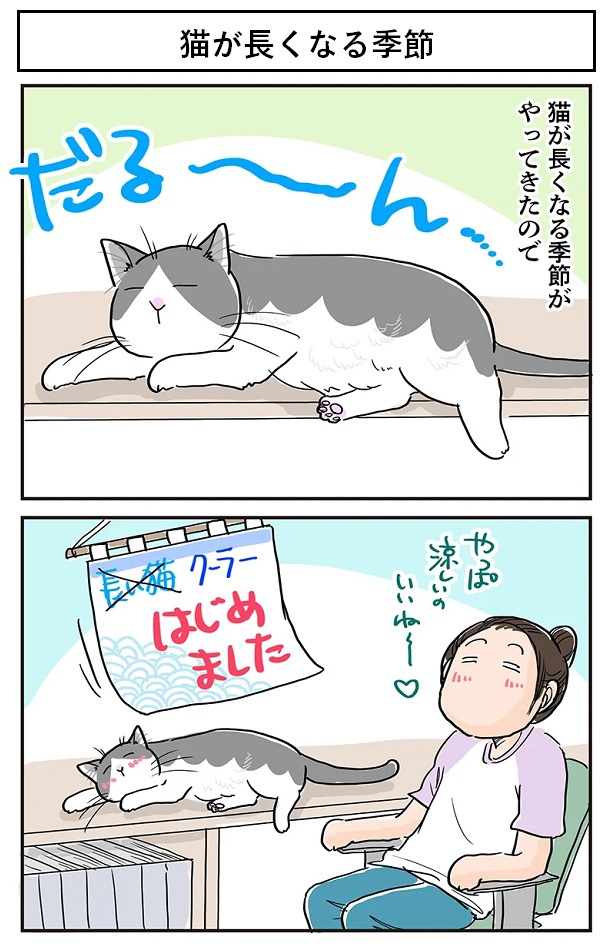 藤緒家では猫が長くなる季節がやってきた！