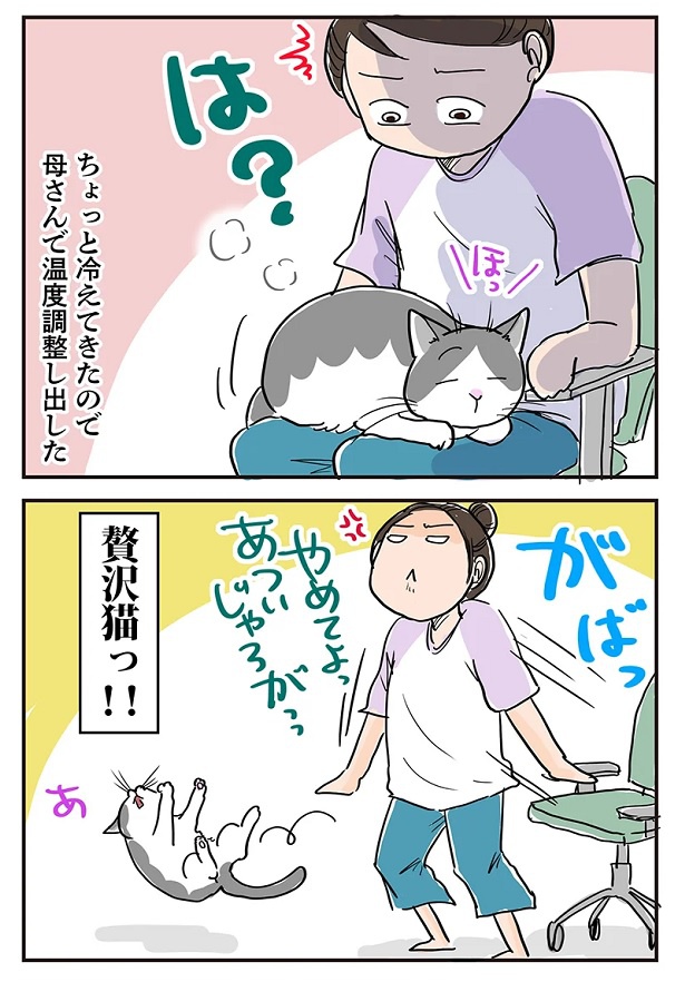 なんと、藤緒さんで温度調節をし始めた!?