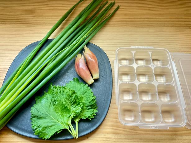 まずはお好みの薬味と製氷皿を用意（▶次へ） 撮影／あんこ