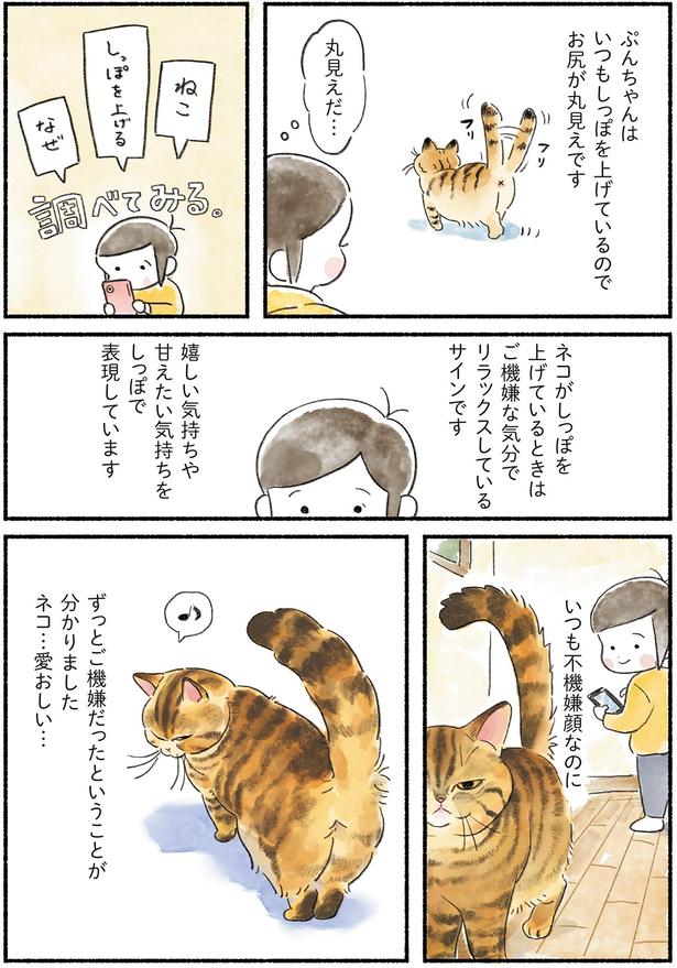 いつも不機嫌顔なのに （C）山麦まくら／KADOKAWA