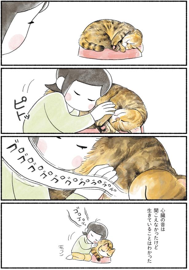 生きていることはわかった （C）山麦まくら／KADOKAWA