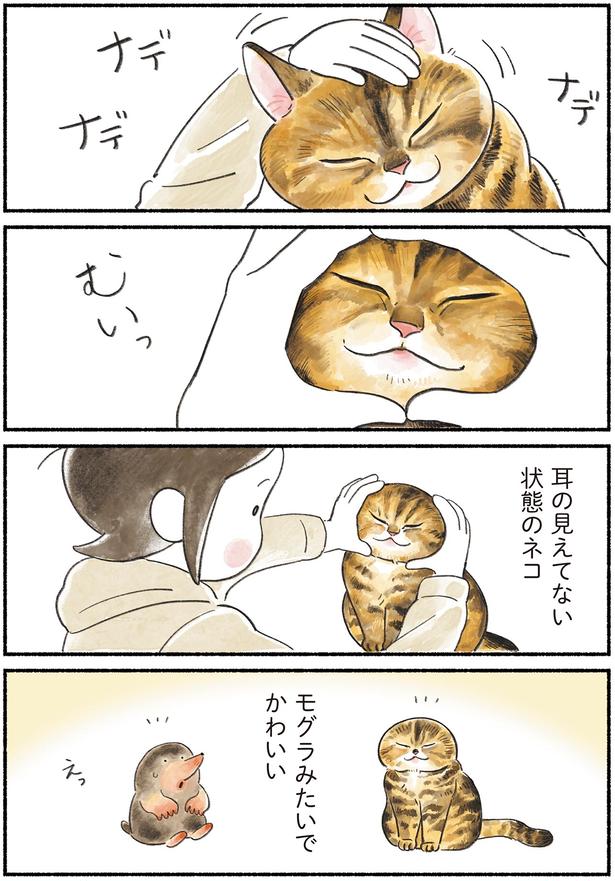 モグラみたいでかわいい （C）山麦まくら／KADOKAWA