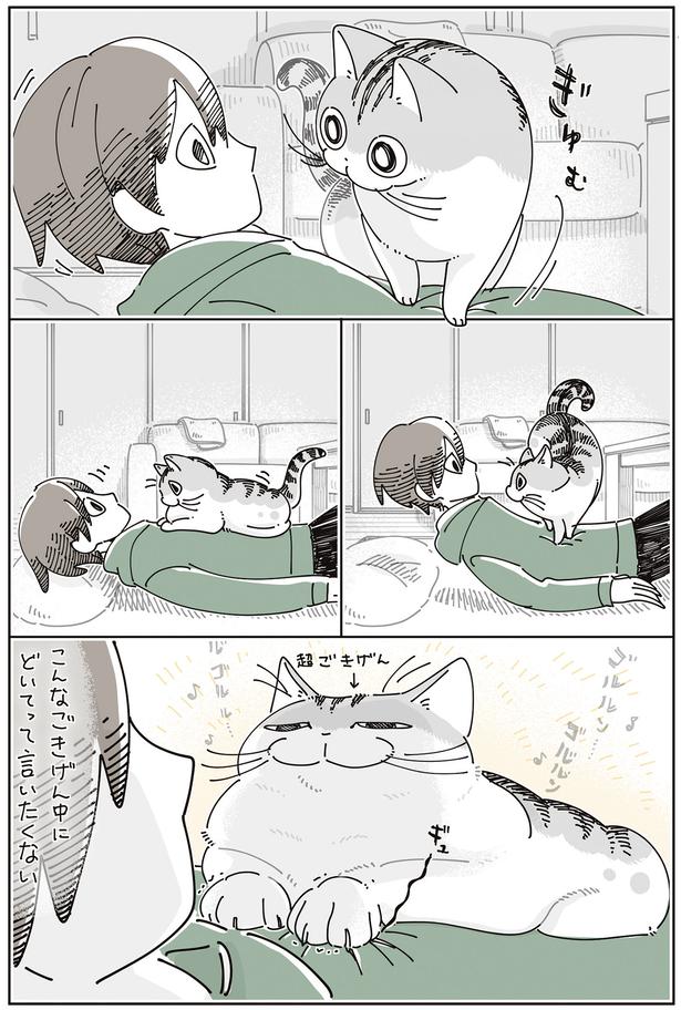 どいてって言いたくない （C）キュルZ／KADOKAWA