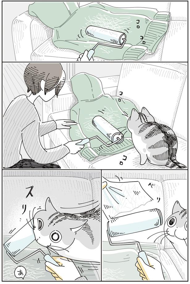 コロコロに顔が （C）キュルZ／KADOKAWA
