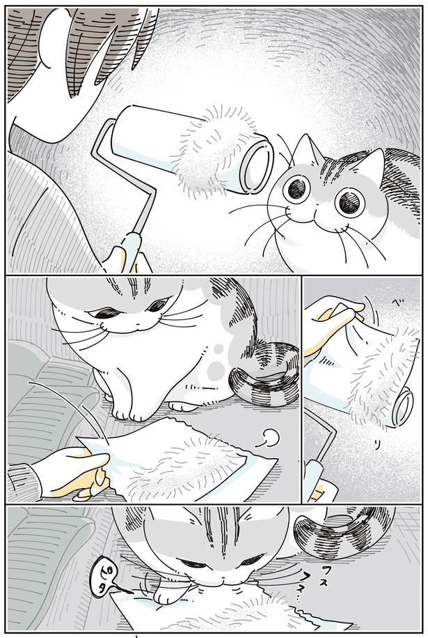 毛が… （C）キュルZ／KADOKAWA