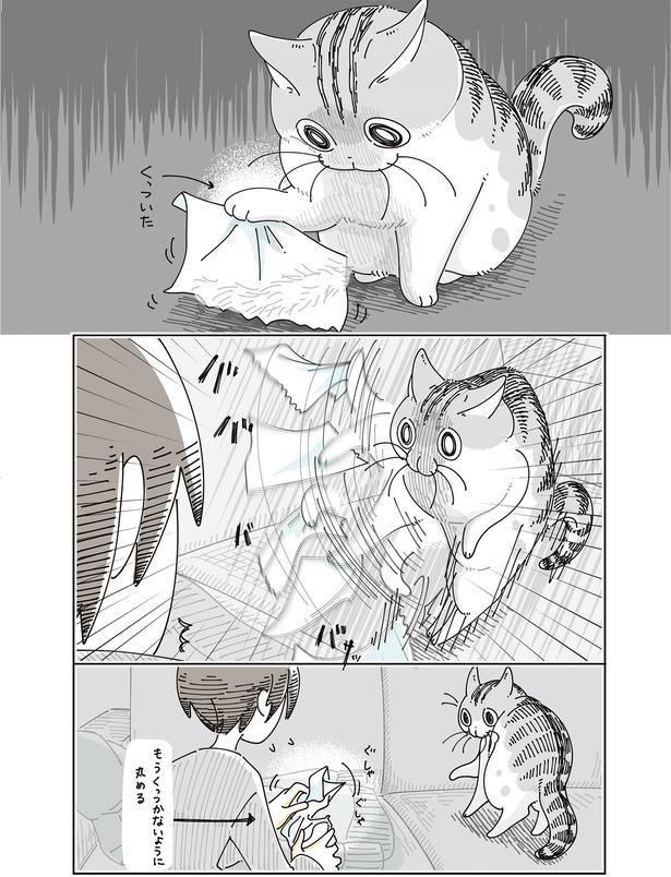 くっついた （C）キュルZ／KADOKAWA