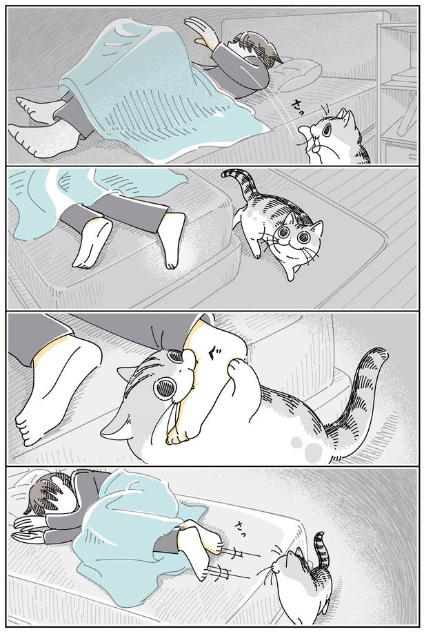 はみでてるよ… （C）キュルZ／KADOKAWA