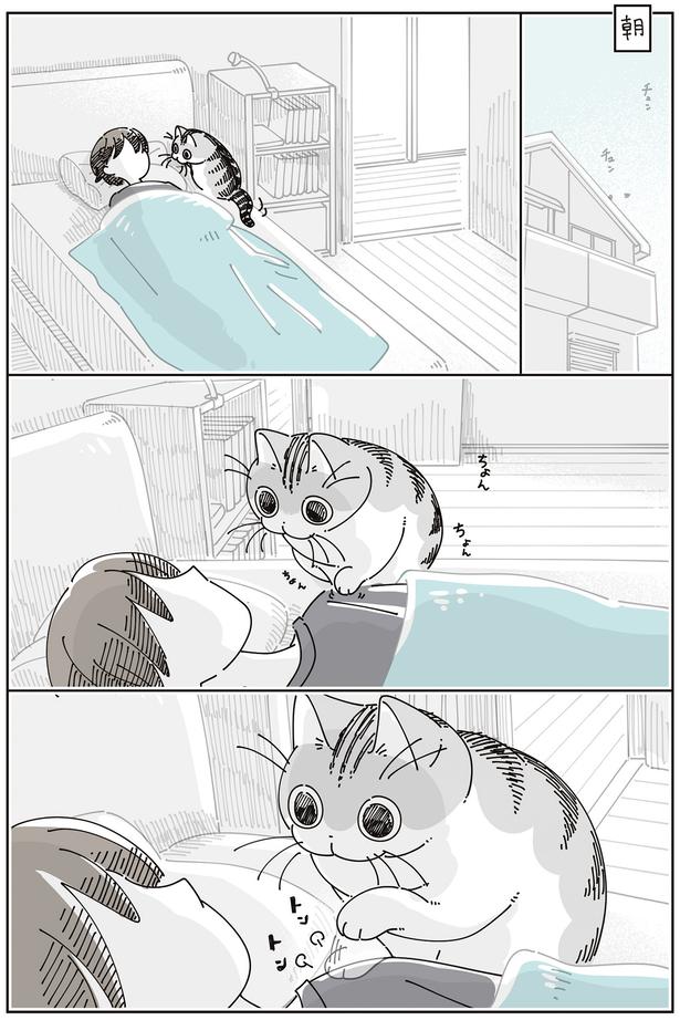 ちょんちょん （C）キュルZ／KADOKAWA