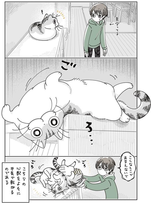 こんなとこであまえないで （C）キュルZ／KADOKAWA