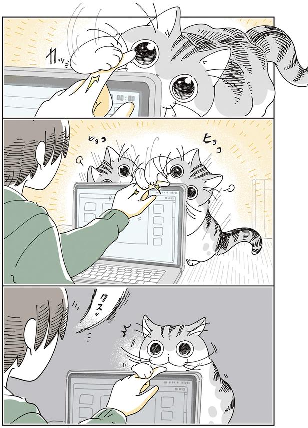 大興奮！ （C）キュルZ／KADOKAWA
