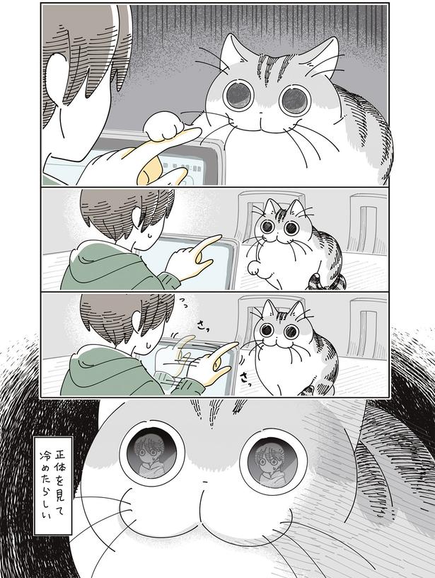 正体を見て冷めたらしい… （C）キュルZ／KADOKAWA