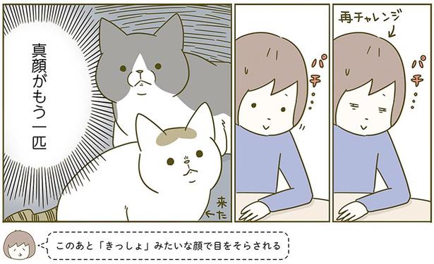 真顔がも一匹 （C）卵山玉子／KADOKAWA