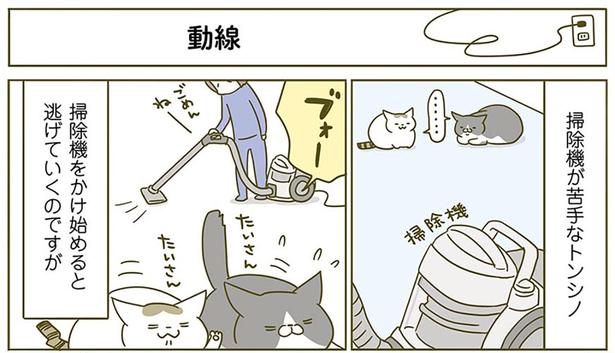 動線 （C）卵山玉子／KADOKAWA