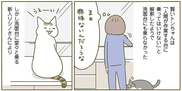興味ないんだろうな （C）卵山玉子／KADOKAWA