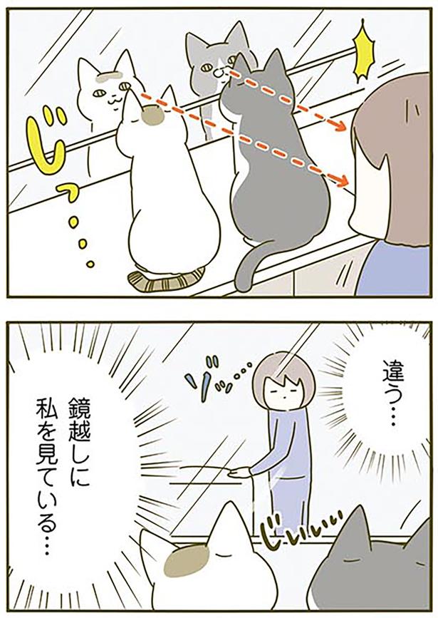 違う… （C）卵山玉子／KADOKAWA