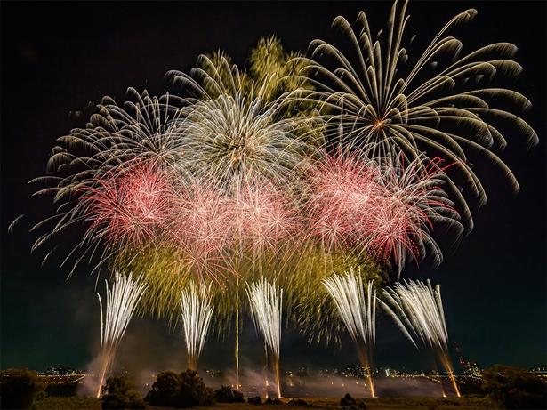 「いたばし花火大会」色とりどりの大輪が夜空に咲き誇る圧巻の光景