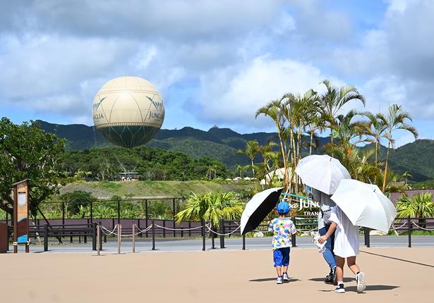 自然豊かなジャングリア沖縄。巨大気球では絶景を楽しめる