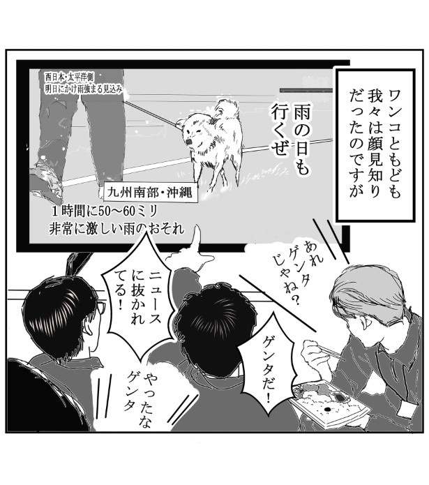 配達先の住民だけでなく、ペットも顔見知り! 送達ねこ(@jinjanosandou)