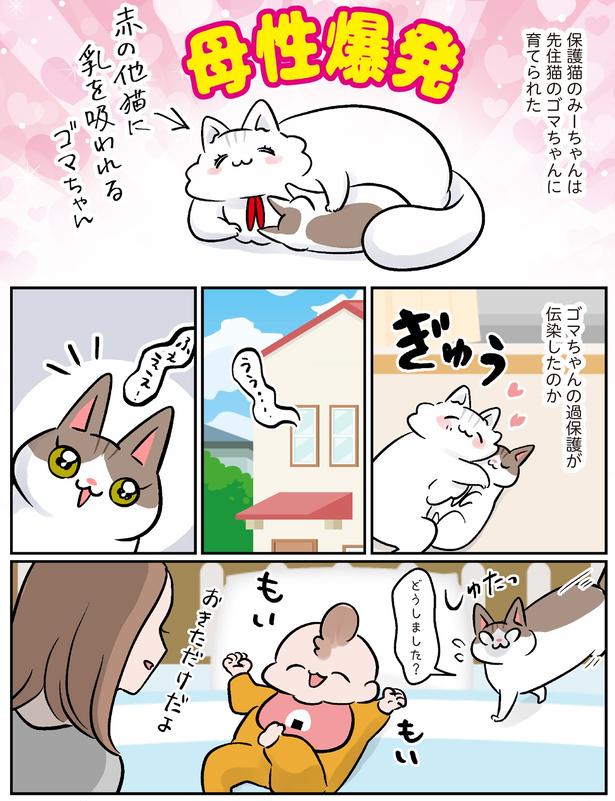 どうしました？ （C）こばん／KADOKAWA