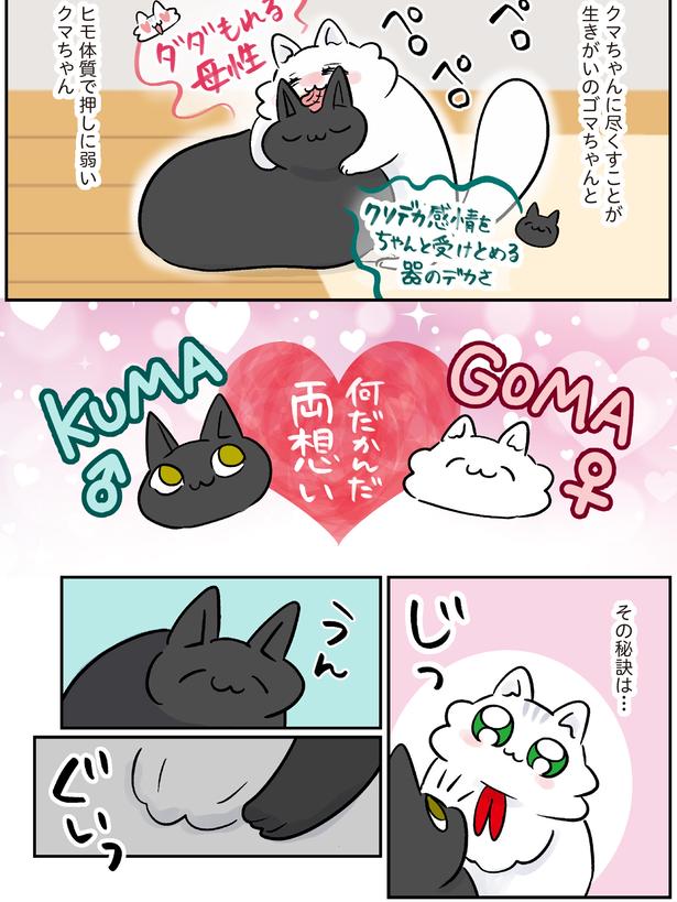 何だかんだ両想い （C）こばん／KADOKAWA