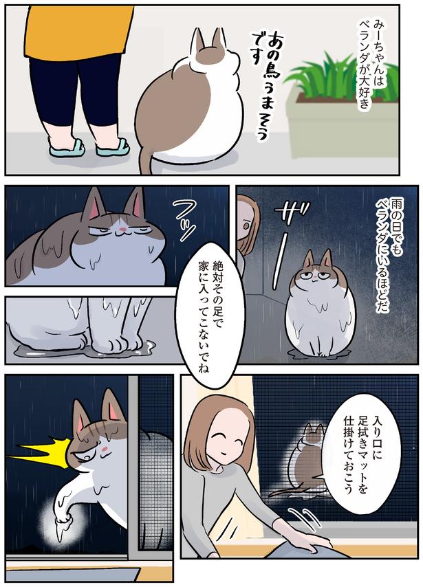 絶対その足で家に入ってこないでね （C）こばん／KADOKAWA