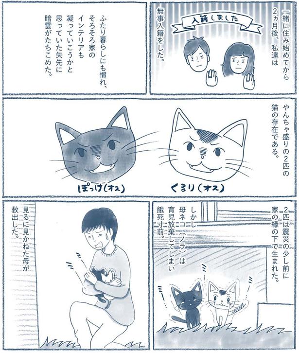 家の縁の下で生まれた （C）ゆるりまい／KADOKAWA