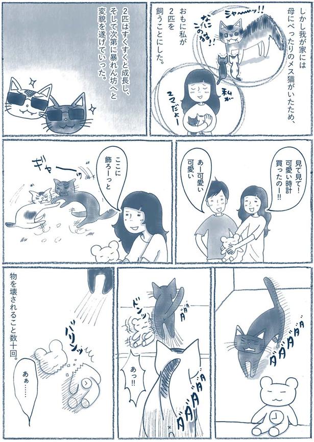 2匹はすくすくと成長し （C）ゆるりまい／KADOKAWA