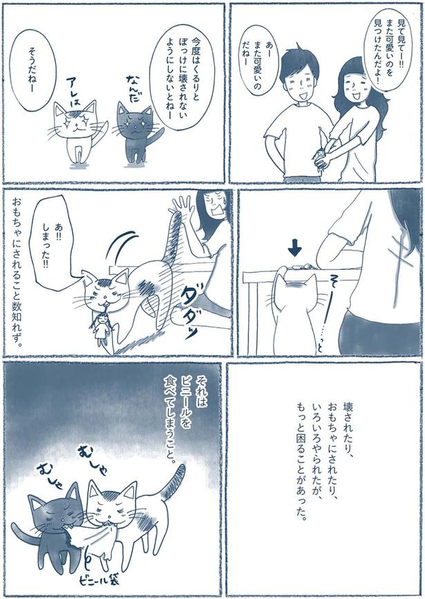 あ！！しまった！！ （C）ゆるりまい／KADOKAWA