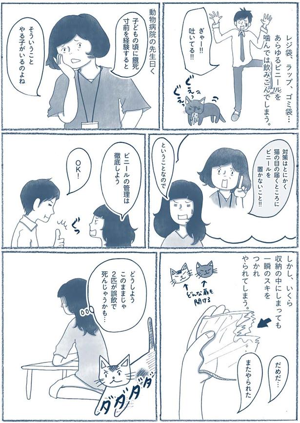 ビニールを置かないこと！！ （C）ゆるりまい／KADOKAWA