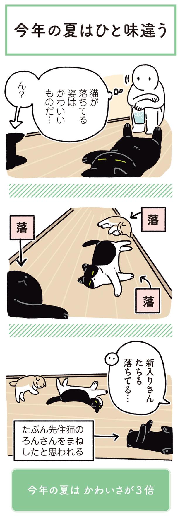 新入りさんたちも落ちてる… （C）AKR／KADOKAWA
