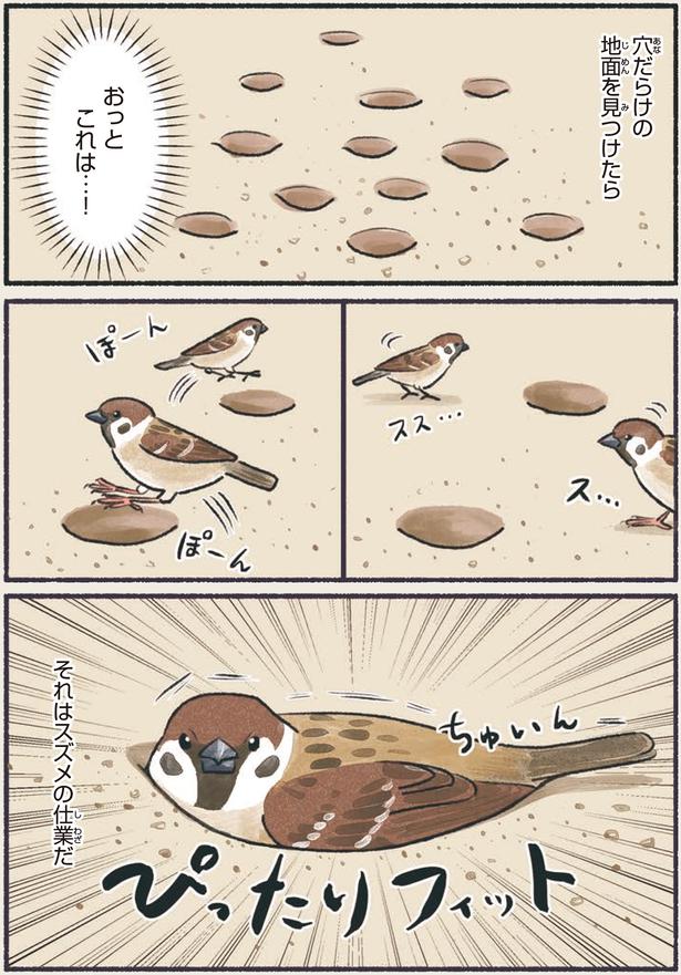 おっとこれは…！ （C）piro piro piccolo／KADOKAWA