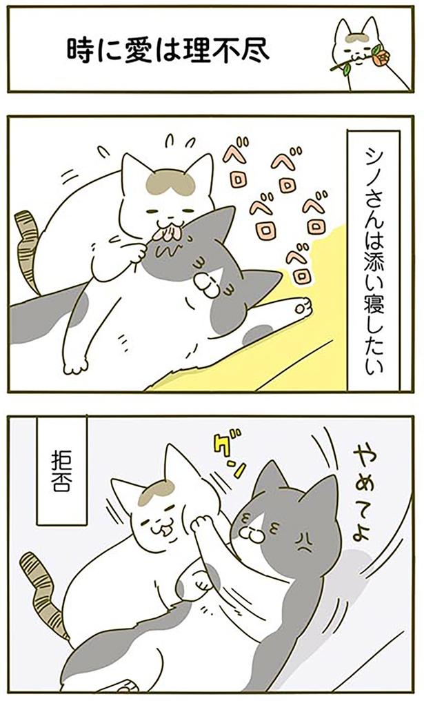 時に愛は理不尽 （C）卵山玉子／KADOKAWA
