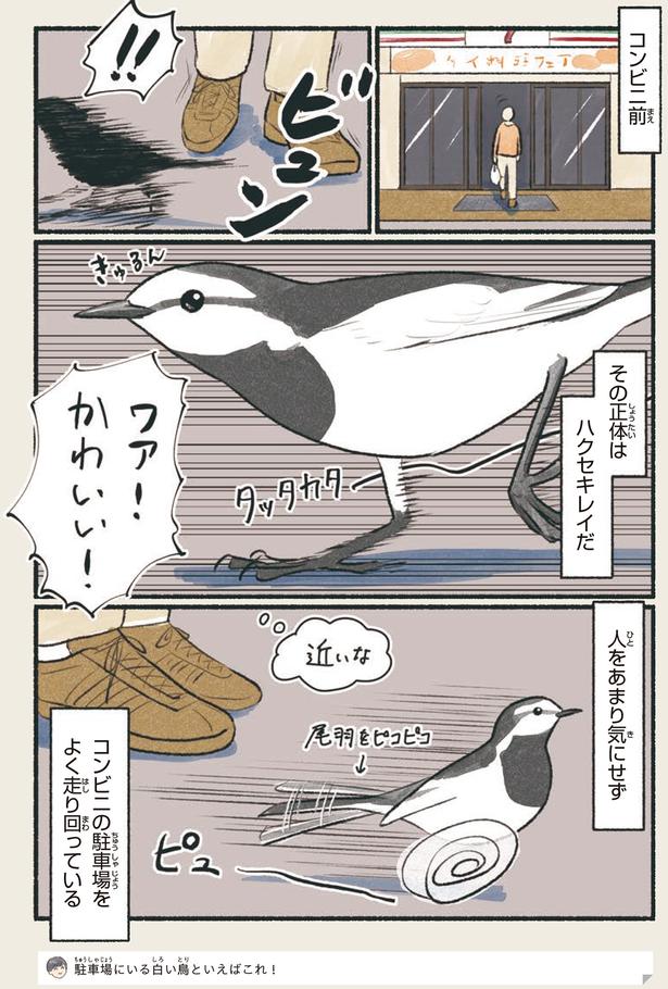 近いな （C）piro piro piccolo／KADOKAWA