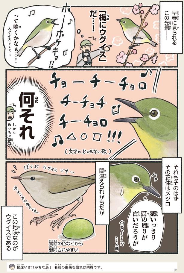 「梅にウグイス」だ…！ （C）piro piro piccolo／KADOKAWA