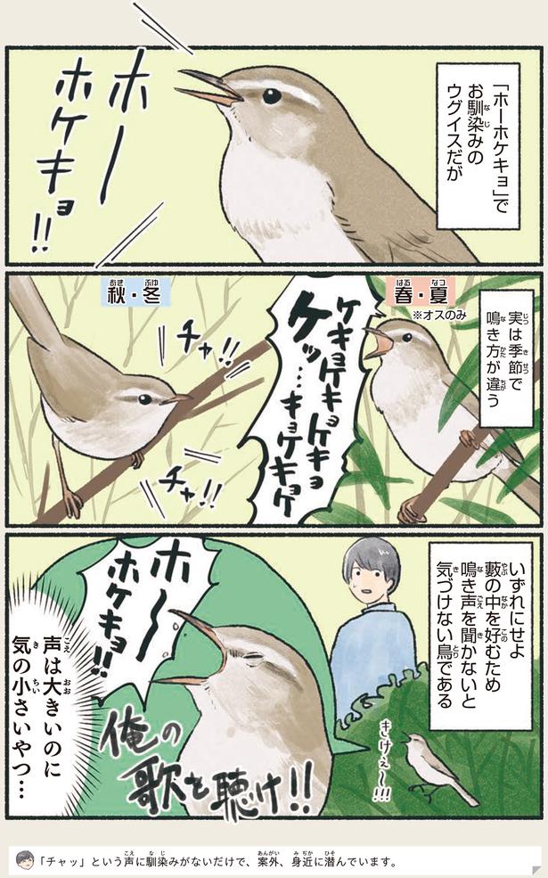 実は季節で鳴き方が違う （C）piro piro piccolo／KADOKAWA