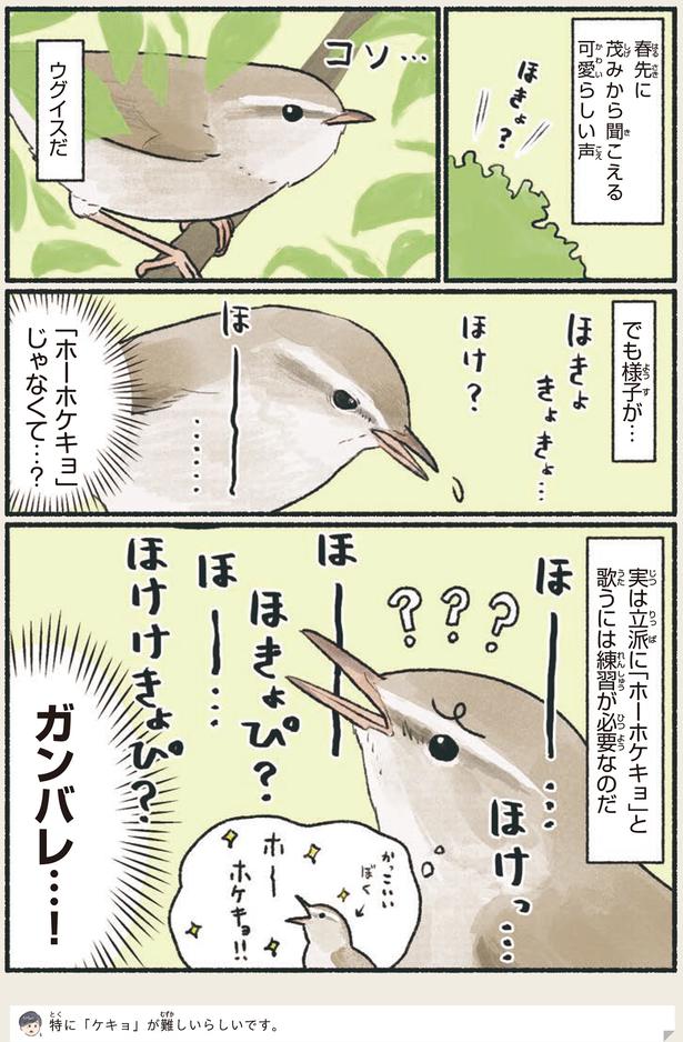 「ホーホケキョ」じゃなくて…？ （C）piro piro piccolo／KADOKAWA
