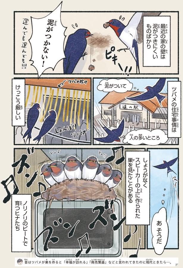 泥がついて　人の多いところ （C）piro piro piccolo／KADOKAWA